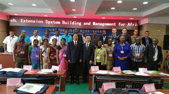 技術推廣服務中心的教育咨詢 賦能教育與技術的融合創新