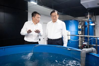 王忠林調(diào)研民營企業(yè)發(fā)展并召開座談會 深化技術(shù)推廣服務，激發(fā)民營經(jīng)濟新動能